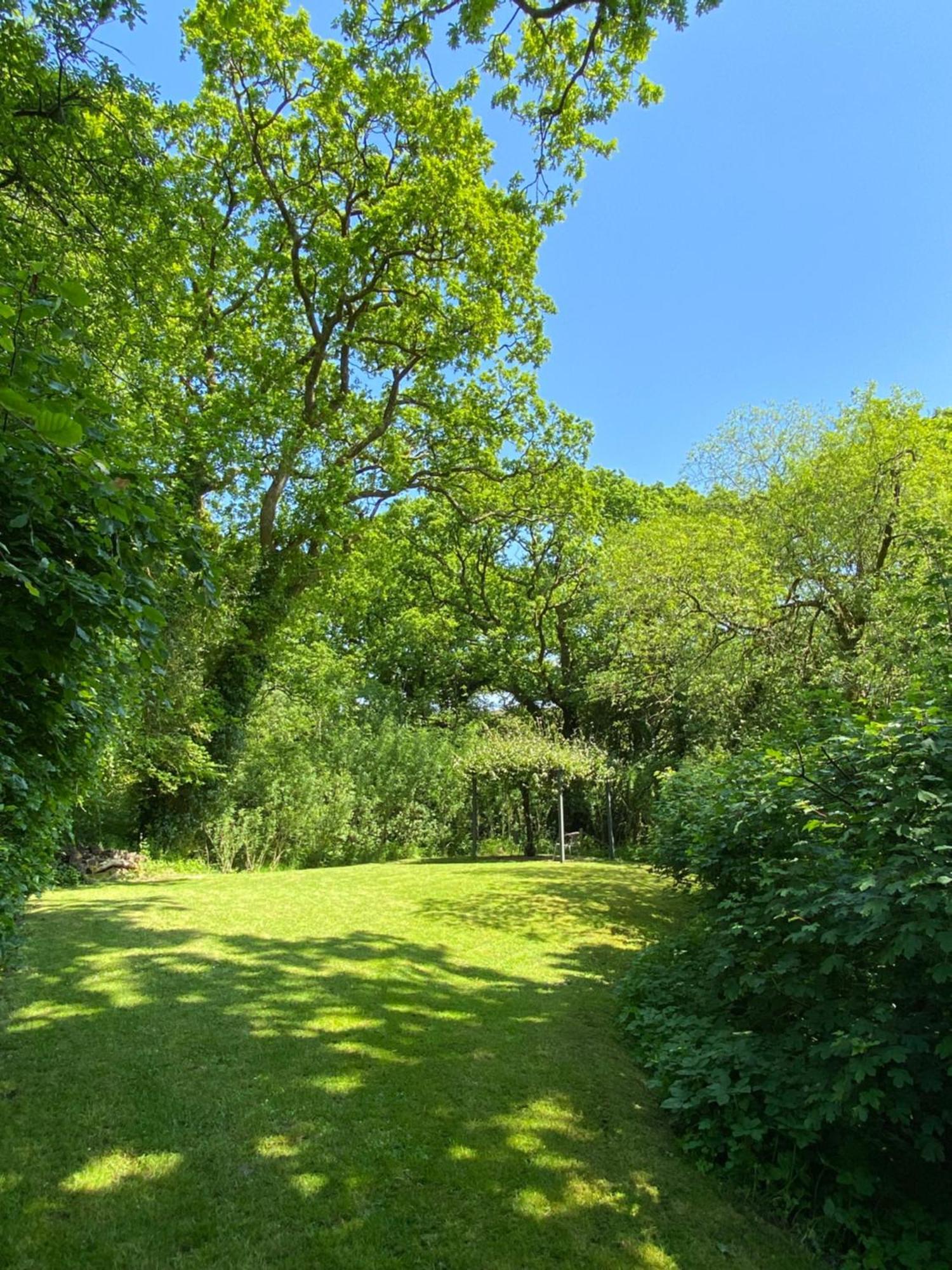 Petrock Holiday Cottages Newton Saint Petrock ห้อง รูปภาพ