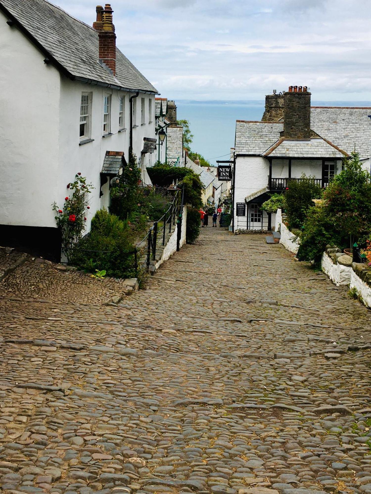 Petrock Holiday Cottages Newton Saint Petrock ภายนอก รูปภาพ