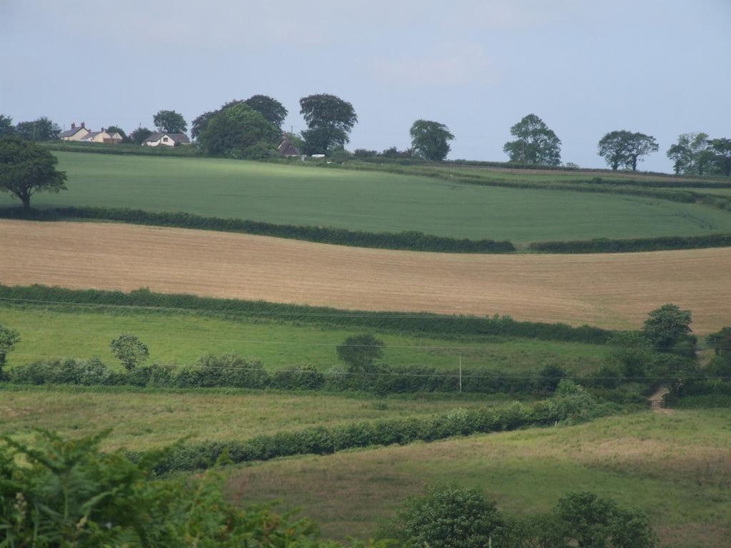 Petrock Holiday Cottages Newton Saint Petrock ภายนอก รูปภาพ